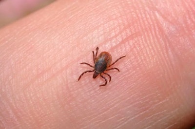 Lyme Carrier / Image: FiercePharma