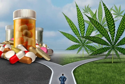 Opioid vs Marijuana / Image: Shutterstock