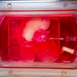 Mini Liver / Image: UPMC