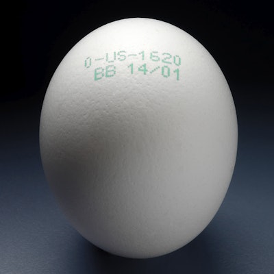 V498 food grade ink on egg