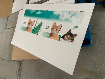 Corrugated sheet printed by Taizhou Forest Printing & Packing Co. Ltd.