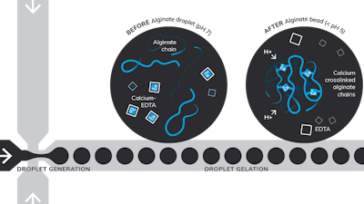 Microfluidics delivers controlled synthesis of monodisperse alginate beads