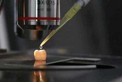 Regrowing Teeth / Image: ADAPT