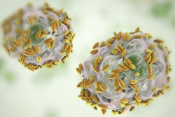 Bacteria / Image: Getty Images