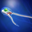 Two-Tailed Biobot / Image: Michael Vincent