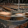 Best Practices for Conveyor Safety