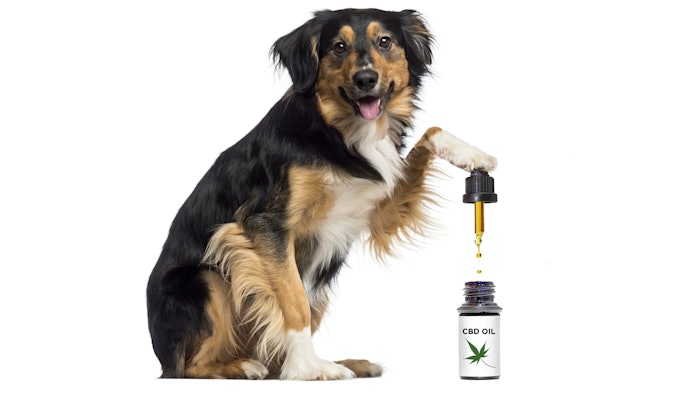 CBD for Pets