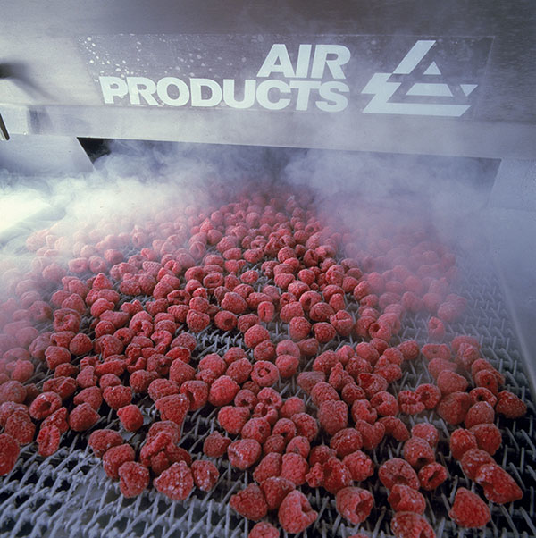 raspberries in cryogenic tunnel freezer