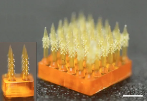 Barbed Microneedle Patch