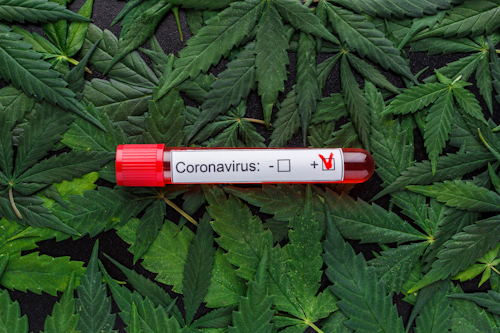 Medical Cannabis