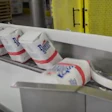 Multi Conveyor Elevated Conveyor System