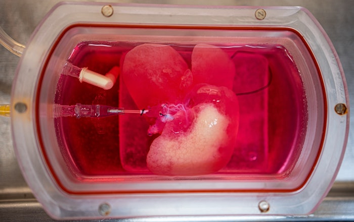 Lab-Grown Liver