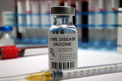 Lyme Vaccine