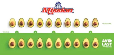 Use of the AvoLast sachet in avocado packaging is said to increase the ripe shelf life of Hass avocados by two to four days.