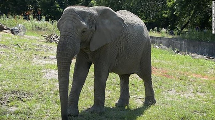 Warsaw Zoo
