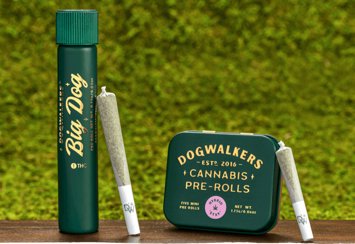 Dogwalkers