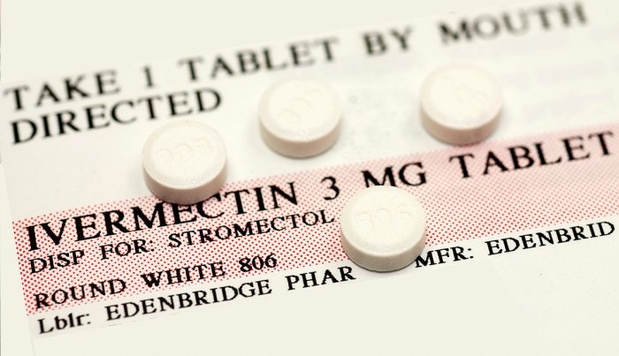 1140 Heartworm Medicine Covid imgcache rev web 700 399