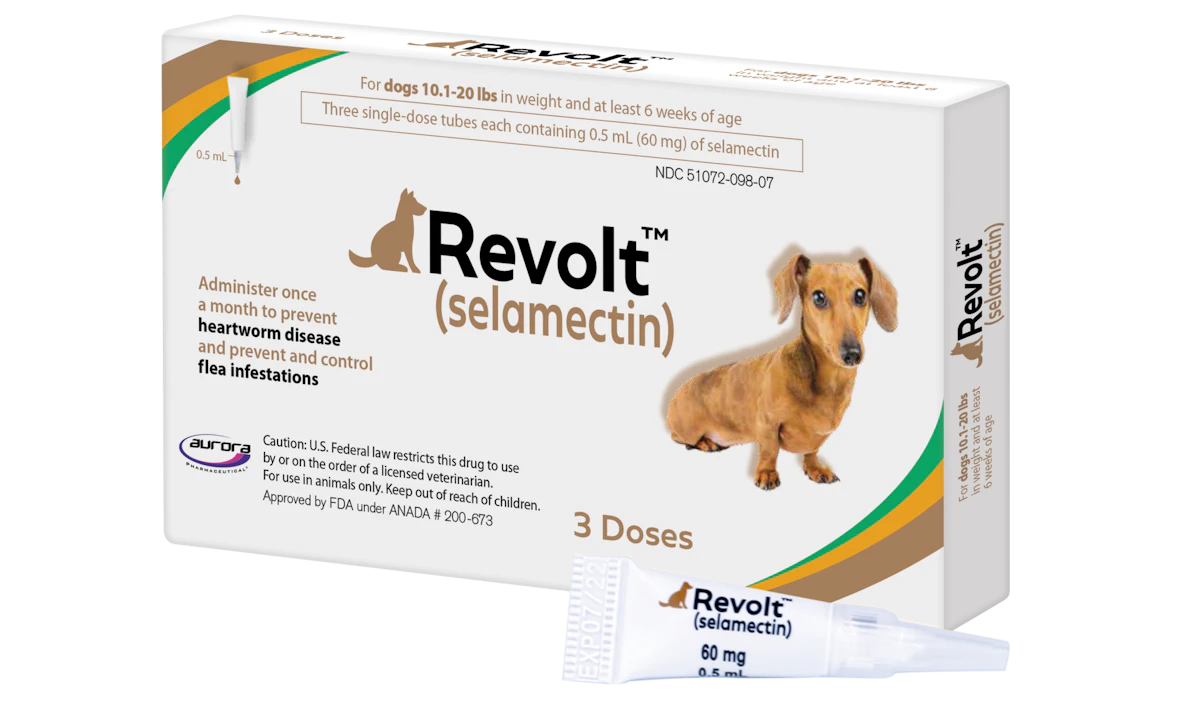 Easy-Application Tube for Veterinary Products Wins Gold - Vimarsana News