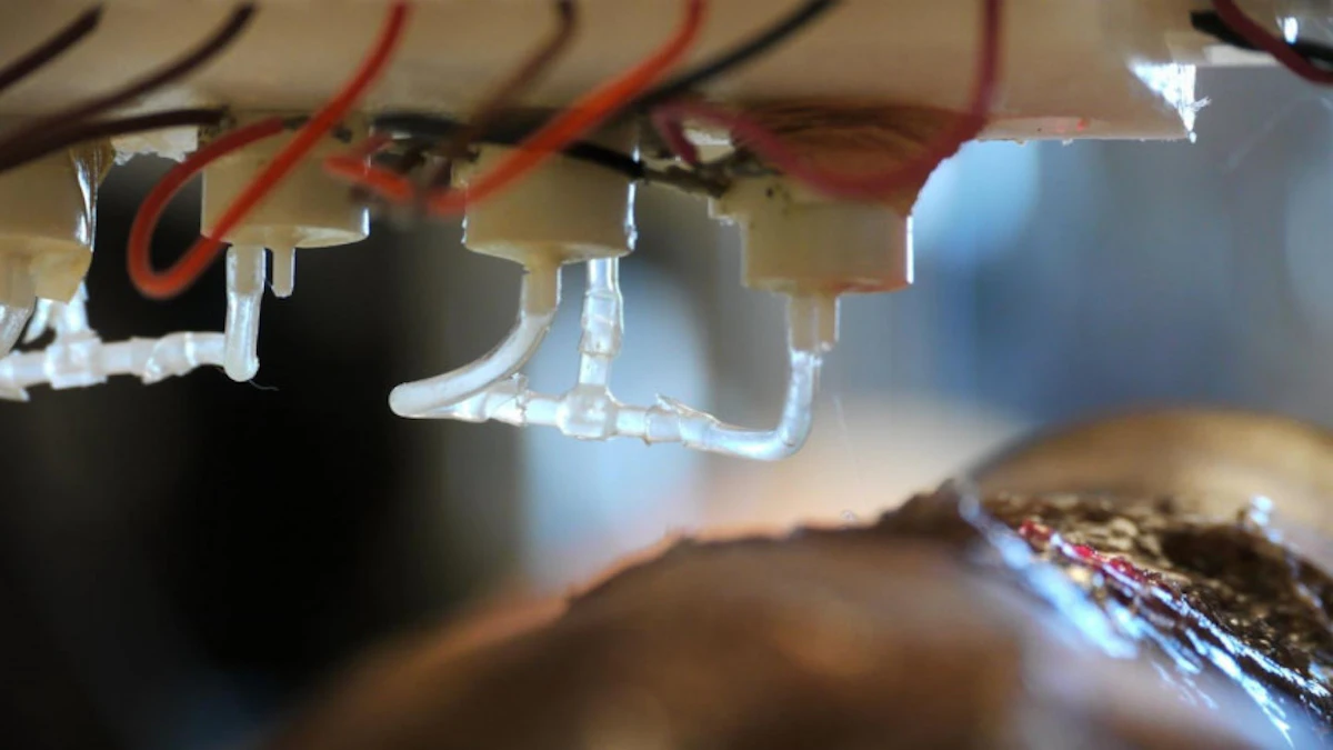 3-D Printing Living Skin is Now a Thing - Vimarsana News