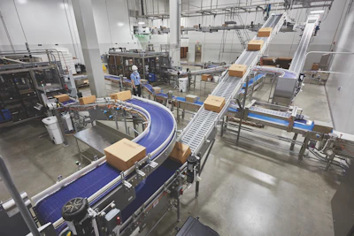 40-lb blocks of cheese are boxed and sealed, then conveyed to a palletizer in the adjoining room.