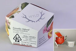 Wyld Cannabis-Infused Gummies feature a clean botanical look with bright inner carton and child-resistant jar.