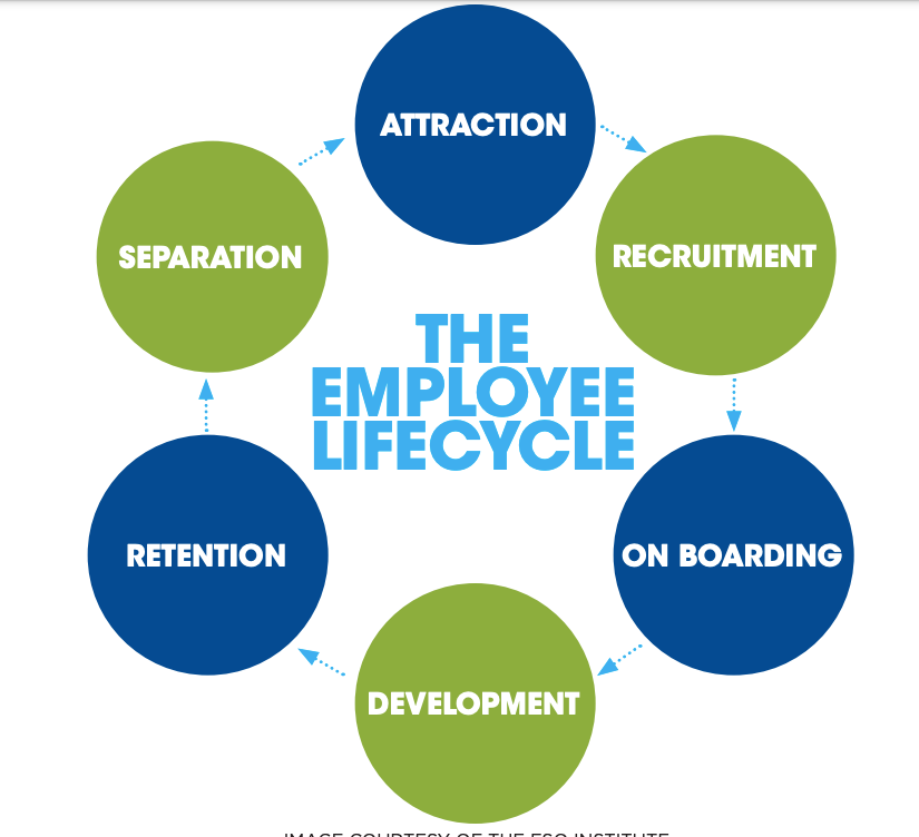 Image courtesy of FSO Institute