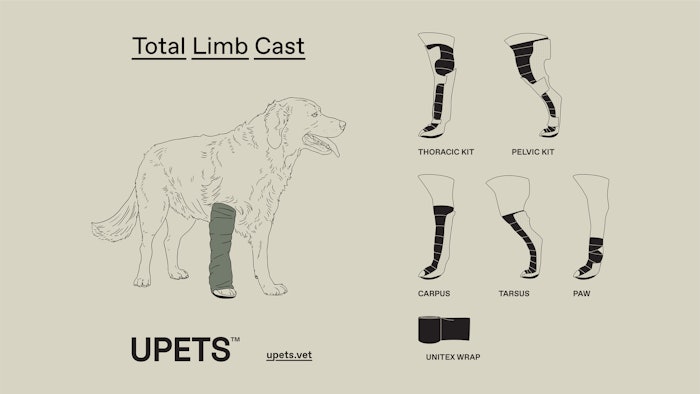 Dog Casts