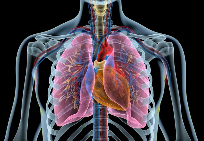 Heart And Lungs2 907x628