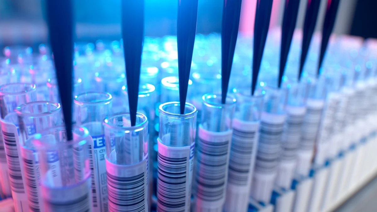 Top 10 Articles of 2021 - #1: Serialization 101 - Vimarsana News