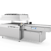 New Product Multivac B 425 Chamber Belt Machine