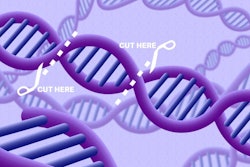 Illustration Kilobaser Blog Crispr 72 2 1024x576