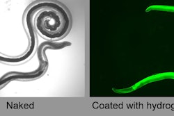 Screen Shot 2022 07 14 At 2 48 58 Pm