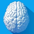 Brain Anatomy Teaser