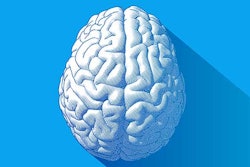 Brain Anatomy Teaser