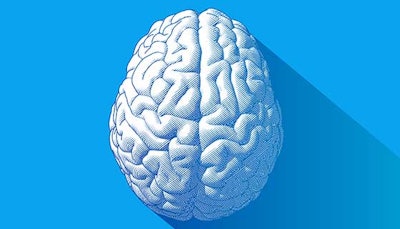 Brain Anatomy Teaser