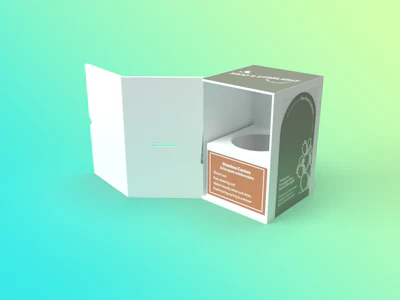 Student Winner—Omnichannel Corrugate Board Cactus Package from Ryerson University