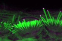 Scienceimage