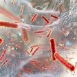 Multidrug Resistant Bacteria