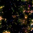 Dishbrain under a microscope