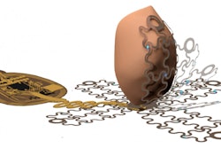 University Of Arizona