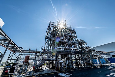 Renasci plant