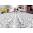 Engineered Bio Pharmaceuticals Production