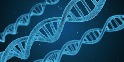 Dna 1811955 1280