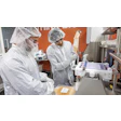 Bristol Myers Squibb Cell Therapy