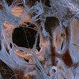 Eye Of Science:science Photo Library