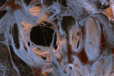 Eye Of Science:science Photo Library