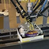 For twin-pack cartons, the delta style robot picks bagged pans from the conveyor belt in the foreground, rotates them so that the ponytail is in the 12 o’clock position, and places them into a carton that is erected from a flat blank upstream.