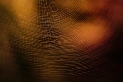 Joetography
