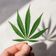 Cannabis packaging recycling program takes off in Massachusetts.