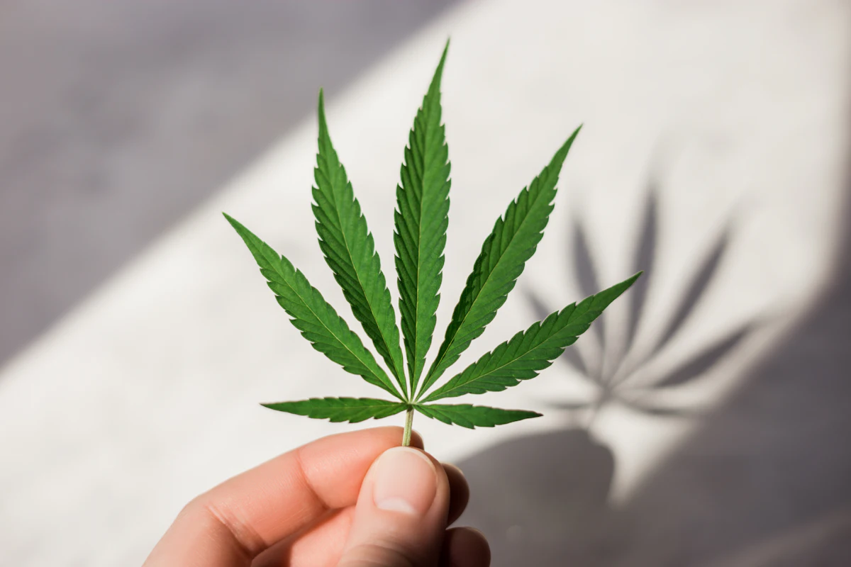 Program Incentivizes Consumers to Recycle Cannabis Packaging - Vimarsana News